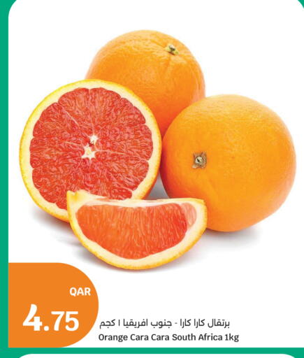 Orange from South Africa available at سيتي هايبرماركت in قطر - الخور
