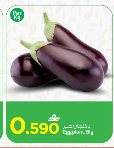 Eggplant available at مارك & سايف in عُمان - مسقط‎