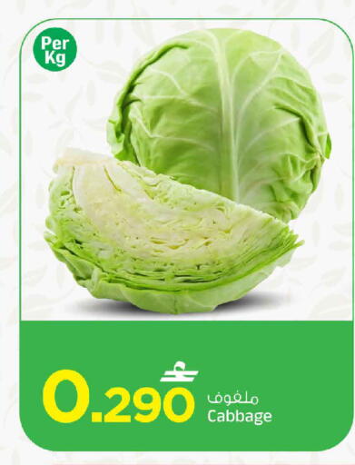 Cabbage available at مارك & سايف in عُمان - مسقط‎