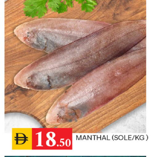 available at سوق طلال in الإمارات العربية المتحدة , الامارات - الشارقة / عجمان