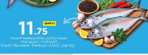 available at Nesto in Qatar - Al Rayyan