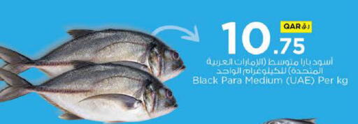 available at Nesto in Qatar - Al Rayyan
