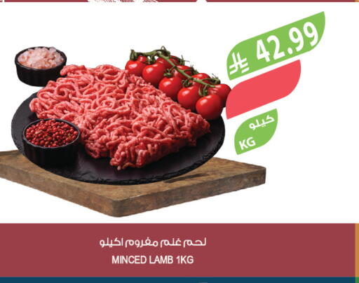available at المزرعة in مملكة العربية السعودية, السعودية, سعودية - الأحساء‎