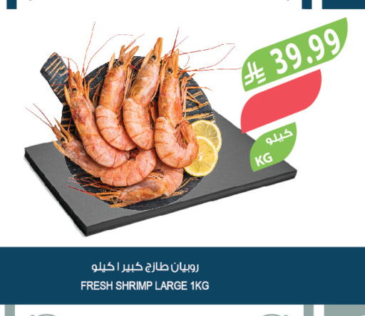 available at المزرعة in مملكة العربية السعودية, السعودية, سعودية - الأحساء‎