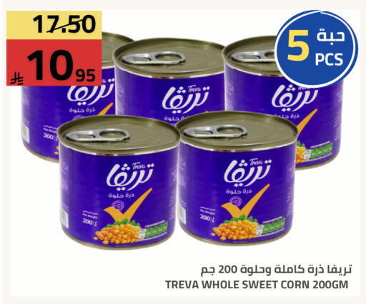 available at Astra Markets in KSA, Saudi Arabia, Saudi - Tabuk