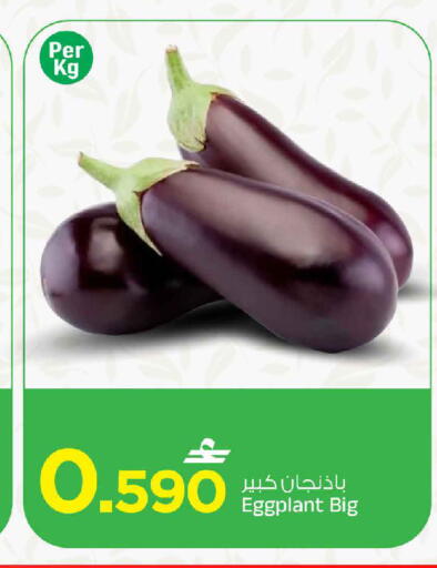 Eggplant available at مارك & سايف in عُمان - مسقط‎