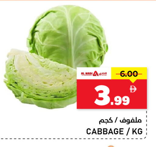 Cabbage available at النادي هايبرماركت in الإمارات العربية المتحدة , الامارات - الشارقة / عجمان