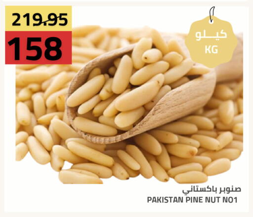 available at Astra Markets in KSA, Saudi Arabia, Saudi - Tabuk