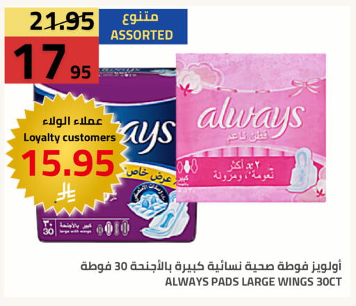 available at Astra Markets in KSA, Saudi Arabia, Saudi - Tabuk