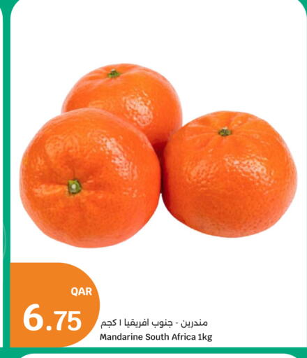 from South Africa available at سيتي هايبرماركت in قطر - الخور