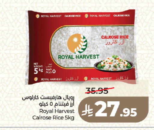 available at لولو هايبرماركت in مملكة العربية السعودية, السعودية, سعودية - المدينة المنورة