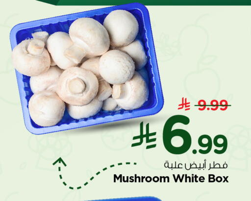 Mushroom available at Nesto in KSA, Saudi Arabia, Saudi - Al Khobar