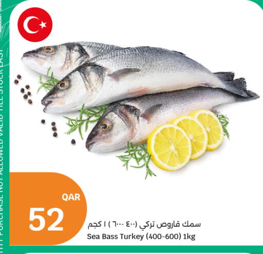 available at سيتي هايبرماركت in قطر - الخور