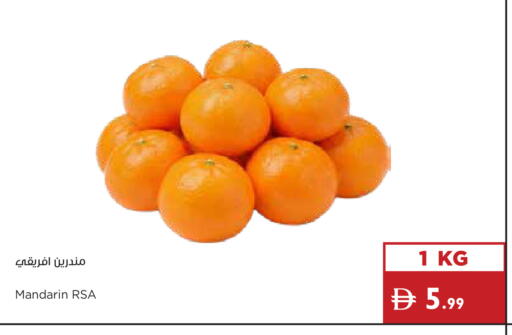 Mandarin available at Istanbul Supermarket in UAE - Ras al Khaimah