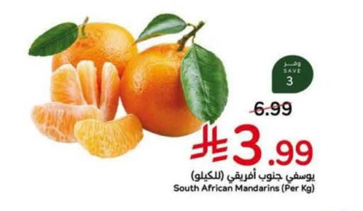 from South Africa available at Hyper Panda in KSA, Saudi Arabia, Saudi - Al Khobar