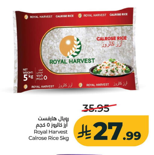 available at لولو هايبرماركت in مملكة العربية السعودية, السعودية, سعودية - الخبر‎