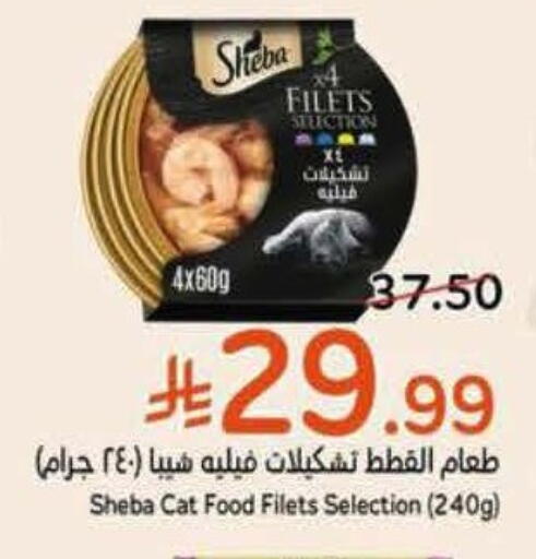 available at Hyper Panda in KSA, Saudi Arabia, Saudi - Al Khobar
