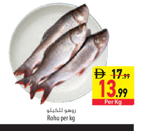 available at السفير ماركت in الإمارات العربية المتحدة , الامارات - رَأْس ٱلْخَيْمَة