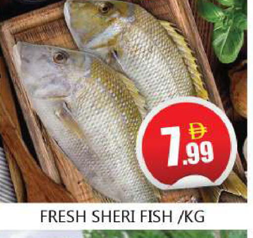 available at سوق المبارك هايبرماركت in الإمارات العربية المتحدة , الامارات - الشارقة / عجمان