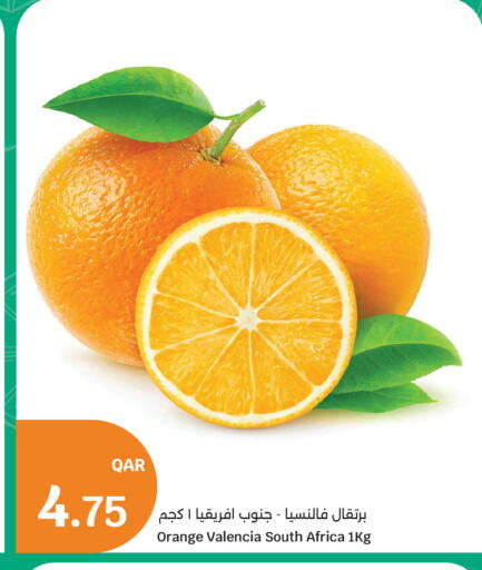 Orange from South Africa available at سيتي هايبرماركت in قطر - الخور