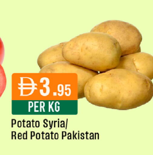Potato from Syria Pakistan available at West Zone Supermarket in UAE - Dubai