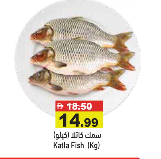 available at أسواق رامز in الإمارات العربية المتحدة , الامارات - أبو ظبي