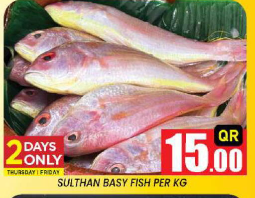 available at New Stop n Shop @Fereej Bin Omran in Qatar - Al Rayyan
