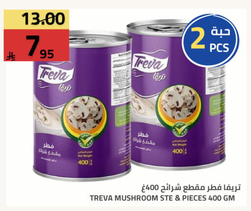 Mushroom available at Astra Markets in KSA, Saudi Arabia, Saudi - Tabuk