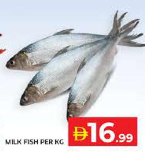 available at الامارات السبع سوبر ماركت in الإمارات العربية المتحدة , الامارات - أبو ظبي