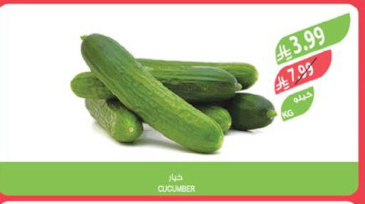 Cucumber available at المزرعة in مملكة العربية السعودية, السعودية, سعودية - الرياض