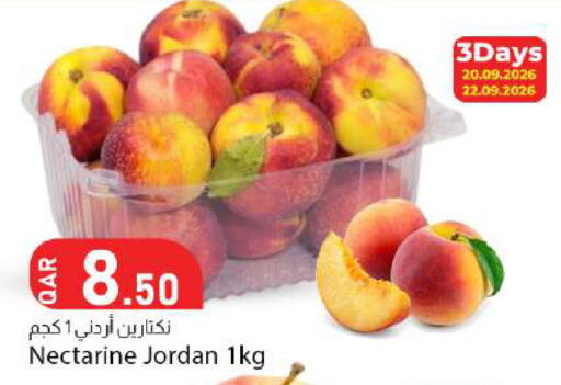 Nectarine from Jordan available at دانا ماركت in قطر - الخور