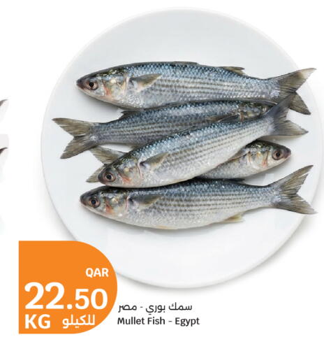 available at City Hypermarket in Qatar - Al Rayyan