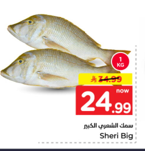 available at نستو in مملكة العربية السعودية, السعودية, سعودية - المجمعة