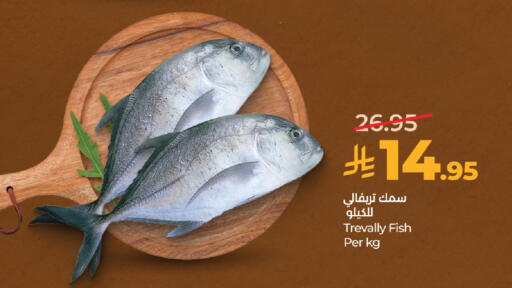 available at لولو هايبرماركت in مملكة العربية السعودية, السعودية, سعودية - مكة المكرمة