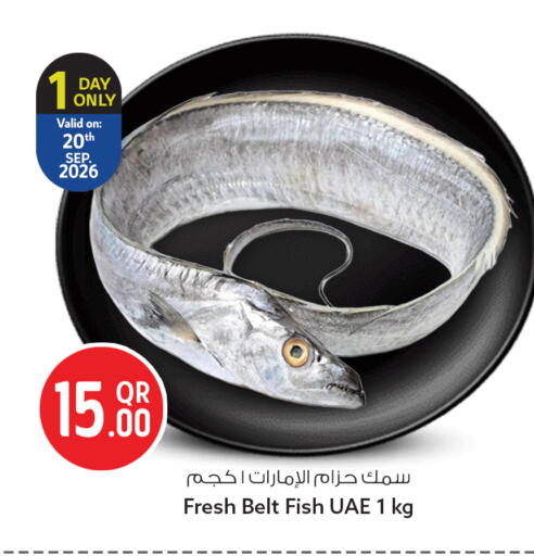 available at سفاري هايبر ماركت in قطر - الخور