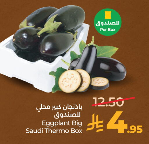 Eggplant from Saudi Arabia available at لولو هايبرماركت in مملكة العربية السعودية, السعودية, سعودية - مكة المكرمة