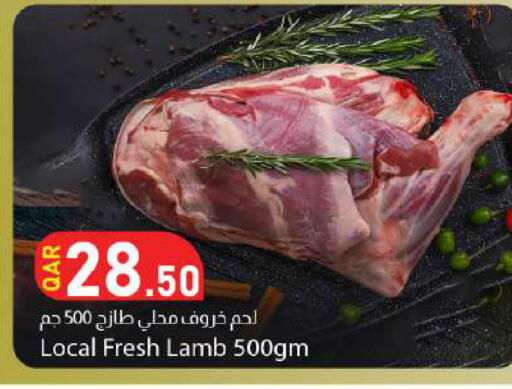 available at دانا ماركت in قطر - الريان