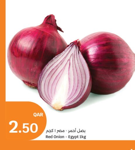 Onion from Egypt available at سيتي هايبرماركت in قطر - الوكرة