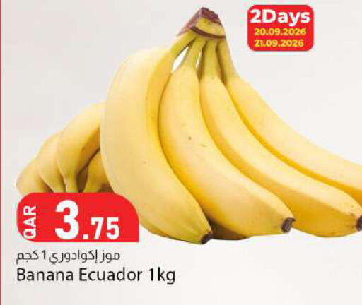Banana from Ecuador available at دانا ماركت in قطر - الوكرة