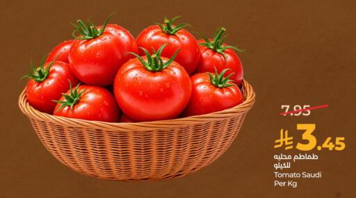 Tomato from Saudi Arabia available at LULU Hypermarket in KSA, Saudi Arabia, Saudi - Hafar Al Batin