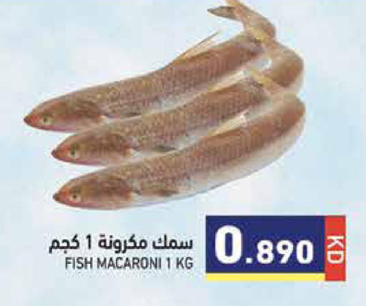 available at  رامز in الكويت - مدينة الكويت