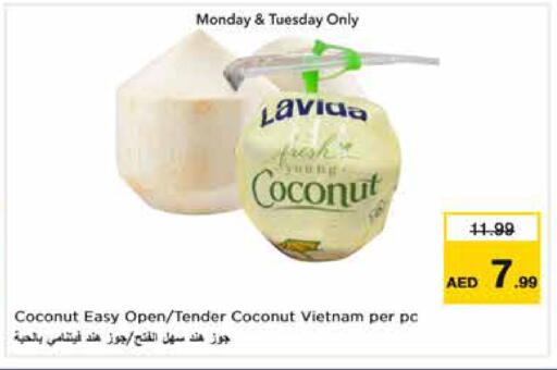 Coconut available at Nesto Hypermarket in UAE - Dubai