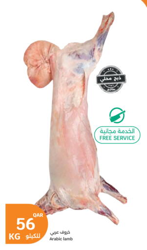 available at City Hypermarket in Qatar - Al Rayyan