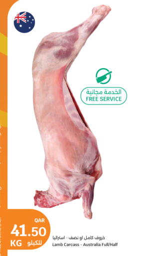 available at City Hypermarket in Qatar - Al Rayyan