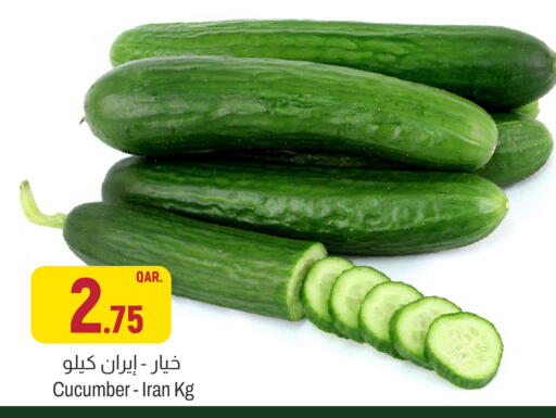 Cucumber from Iran available at Aswaq Al Malaki Fresh in Qatar - Al Rayyan