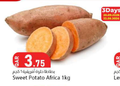Sweet Potato available at Dana Market in Qatar - Al Shamal