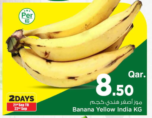 Banana from India available at Mark & Save  in Qatar - Al Wakra