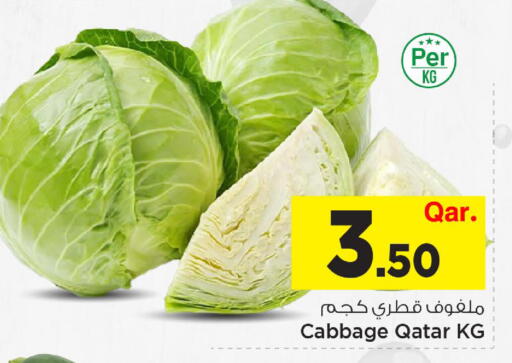 Cabbage from Qatar available at Mark & Save  in Qatar - Al Rayyan