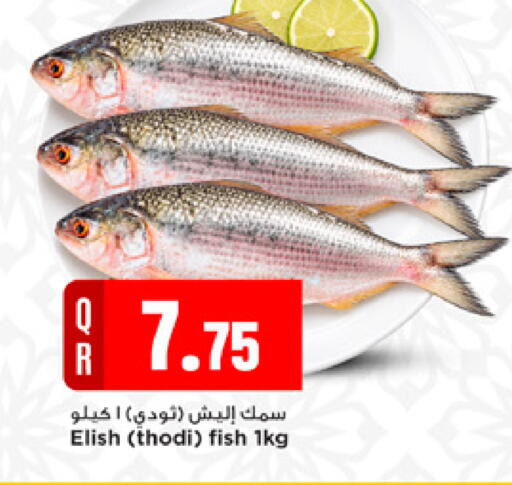 available at مرزا هايبرماركت in قطر - الوكرة