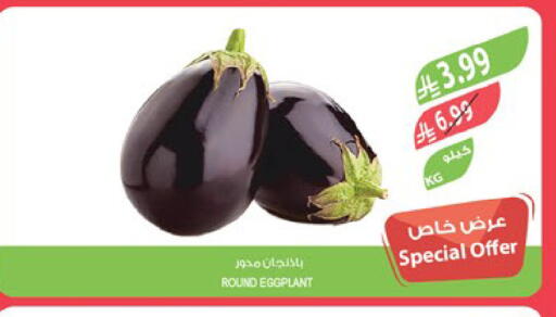 Eggplant available at المزرعة in مملكة العربية السعودية, السعودية, سعودية - الرياض